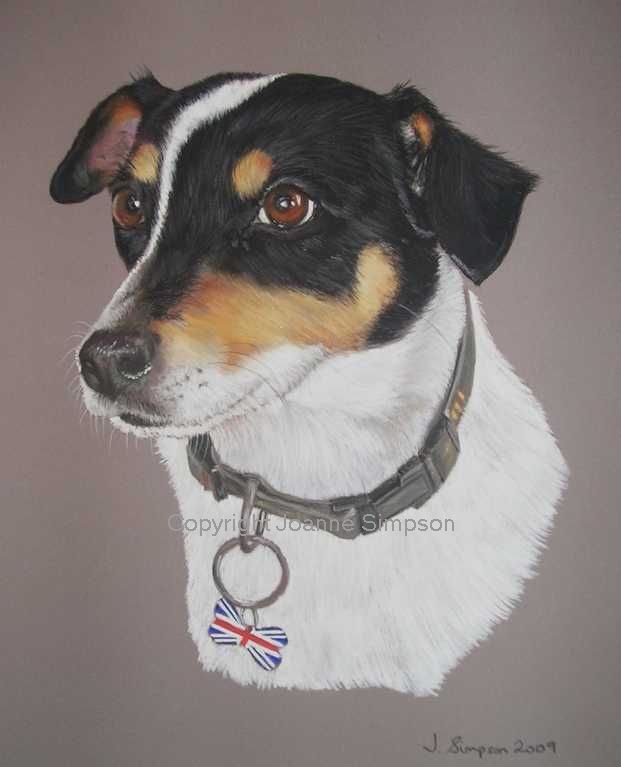 Terrier pet portrait by Joanne Simpson